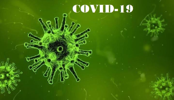 WHO Tetapkan Covid-19 Pandemi, Dirjen P2P: Semua Negara Harus Antisipasi dan Respons 