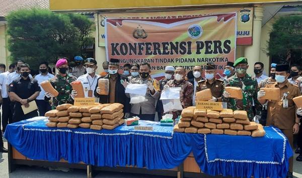 Hasil Tangkapan Tiga Bulan, Polres Langkat Amankan 95 Kg Ganja, 3 Kilo sabu dan Pil Ekstasi dari 109 Pelaku Narkoba