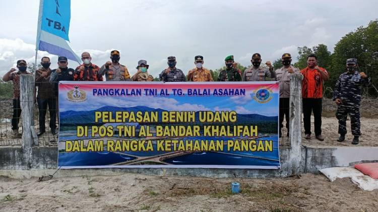 Lanal TBA bersama Unsur Forkopimda Sergai Tebarkan Benih Udang di Tambak Pos TNI AL Bandar Khalifah