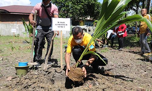 Dorong Ekonomi dan Swasembada Pangan di Bahorok, Pemprov Sumut Bagikan Bibit Kelapa Pandan Wangi dan Padi