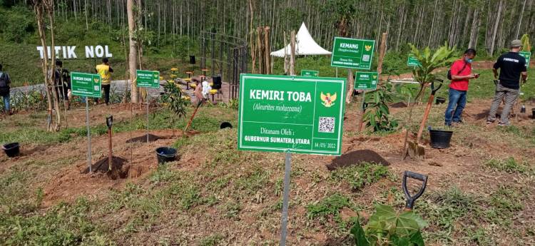Selain Bawa Air dan Tanah Deli, Ternyata Gubernur Edy Bawa Pohon Ini ke IKN