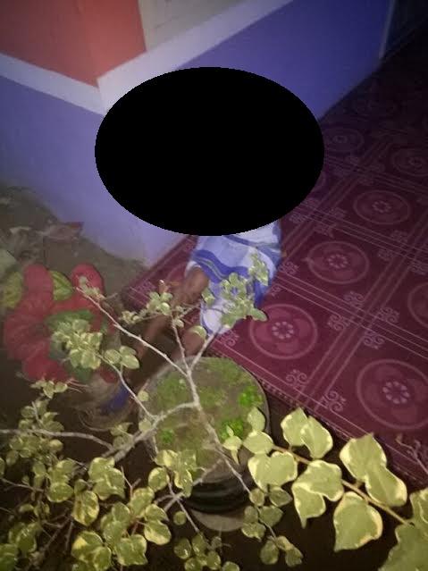 Diculik dari Rumah, Siswi Kelas I SMP di Asahan Diperkosa di Kebun Sawit