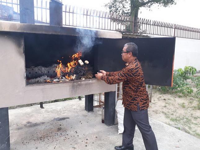 Terkena Penyakit, 13.000 Bibit Sawit Impor Dimusnahkan