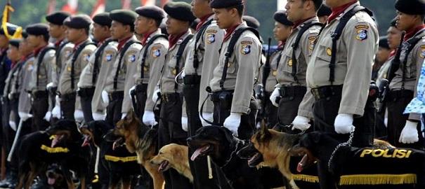 Perpres 42/2017, Jabatan Fungsional Anggota Kepolisian Negara Republik Indonesia