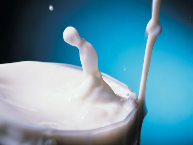White Gold, Produk Susu Premium dari Pusat Benua Eropa