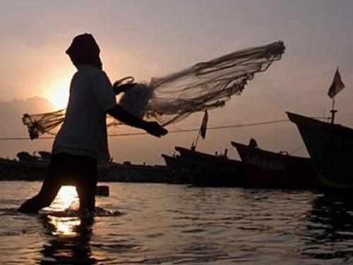 Sukseskan PATEN, Diskanla Kabupaten/Kota di Sumut Diminta Proaktif