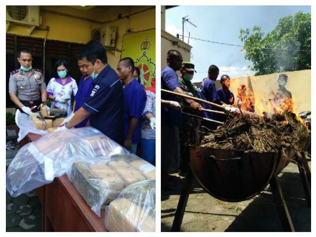 Puluhan Kilo Ganja Dibakar di Polsek Patumbak