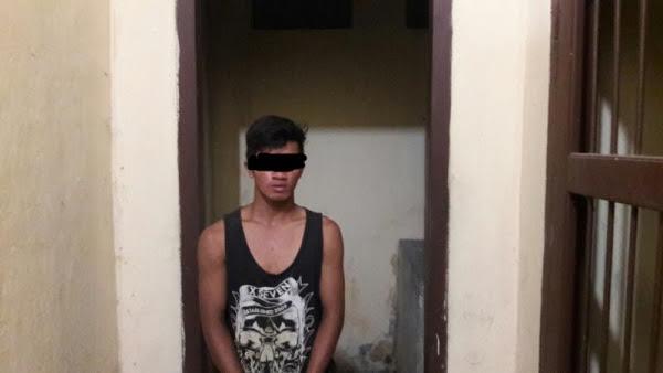 Curi Sawit, Barus Diringkus Polsek Bangun Purba