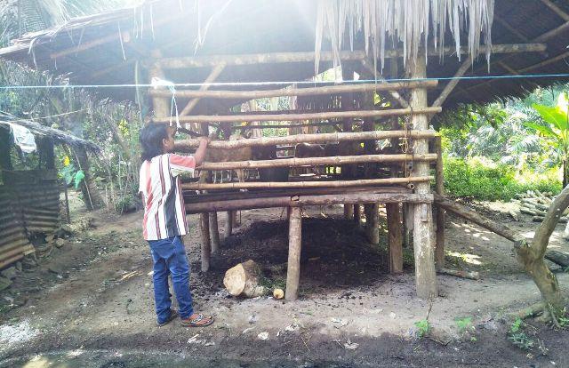 Curi Ternak, Siregar, Sinaga dan Sihombing Diamankan Polsek Perdagangan