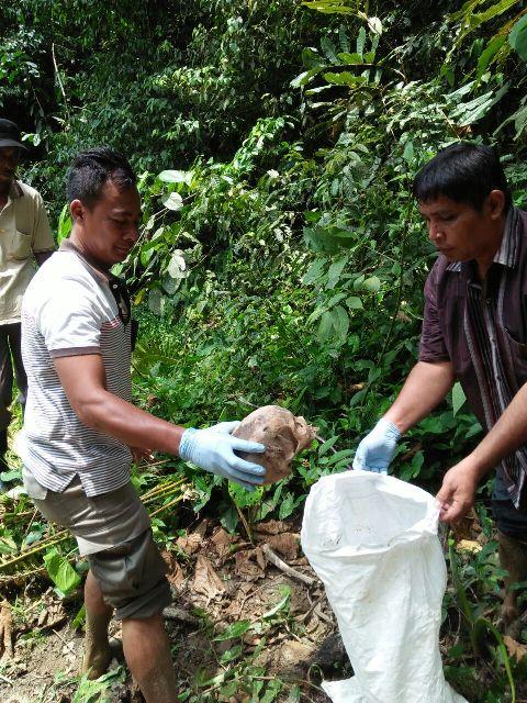 Warga Temukan Kerangka Manusia di Dekat Sungai Brombos Simalungun