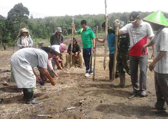 Babinsa Bantu Warga Labuhanbatu Tanam Jagung