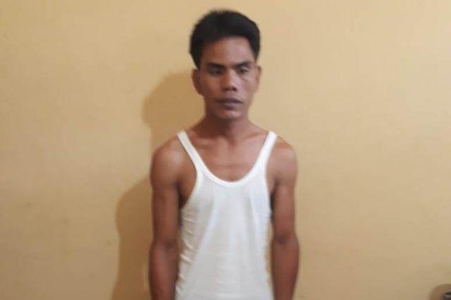 Polsek Teluk Mengkudu Tangkap Pencuri Sawit di Kebun PT Socfindo Sergai