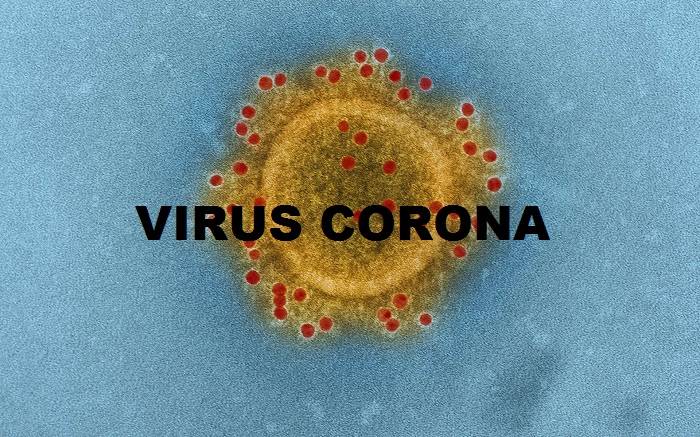 Pasien Sembuh dan Meninggal Akibat Virus Corona Bertambah