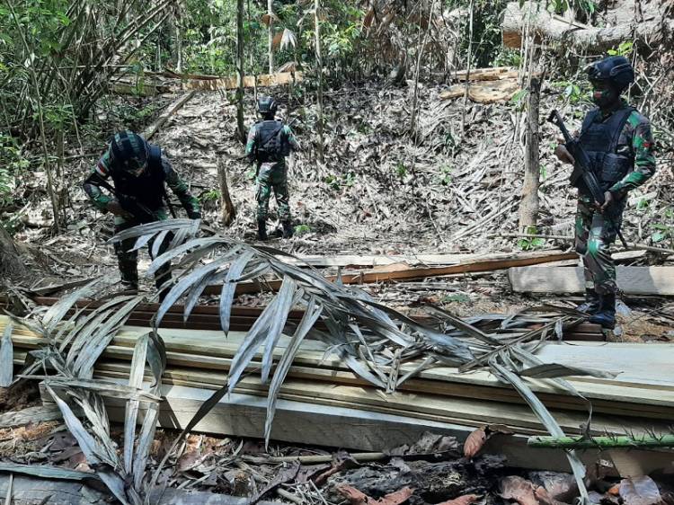Dugaan Pembalakan Liar, Satgas TNI Yonif 642/Kapuas Amankan Temuan Kayu Ilegal di Hutan Perbatasan