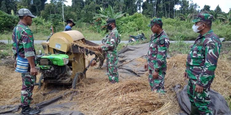 Sukseskan Swasembada Pangan, Hasil Panen 1 Ha Lahan Percontohan Koramil Bonggo untuk Masyarakat