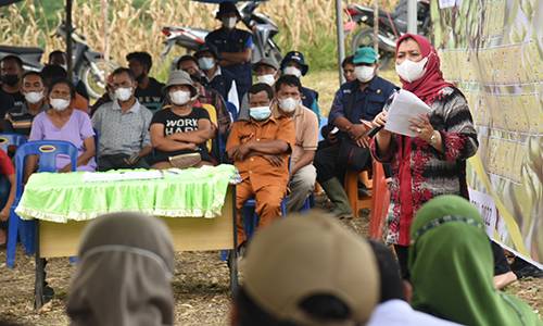 Ketua Dewan Rempah Indonesia Sumut Harapkan Kementan Bantu Mengglobalkan Andaliman