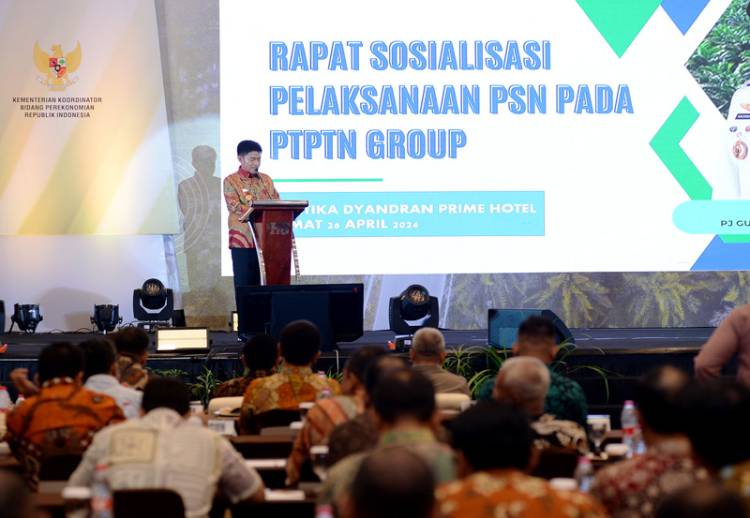 Pemprov Sumut Lakukan Empat Strategi Perkuat Daya Saing Perkebunan