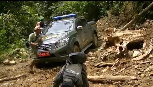 Tim Gabungan Gerebek Lokasi Pembalakan Liar di Taman Nasional Gunung Leuser