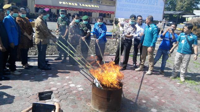 7,8 KG Ganja Kering Dihanguskan Polres Langkat 