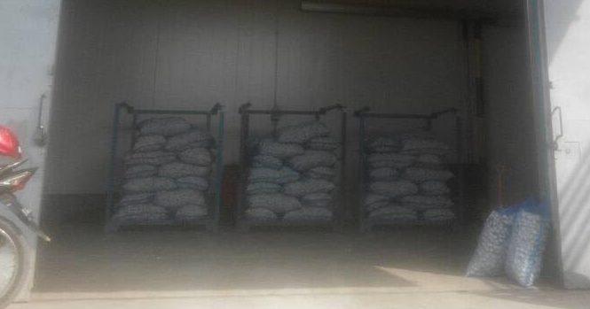 Penyimpanan Bawang dan Cabai Ilegal di Tanjung Mulia Dijual Bebas ke Pembeli