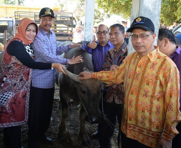 Kunjungi Pasar Ternak di Aek Godang, Gubsu Minta Perbaikan Fasilitas