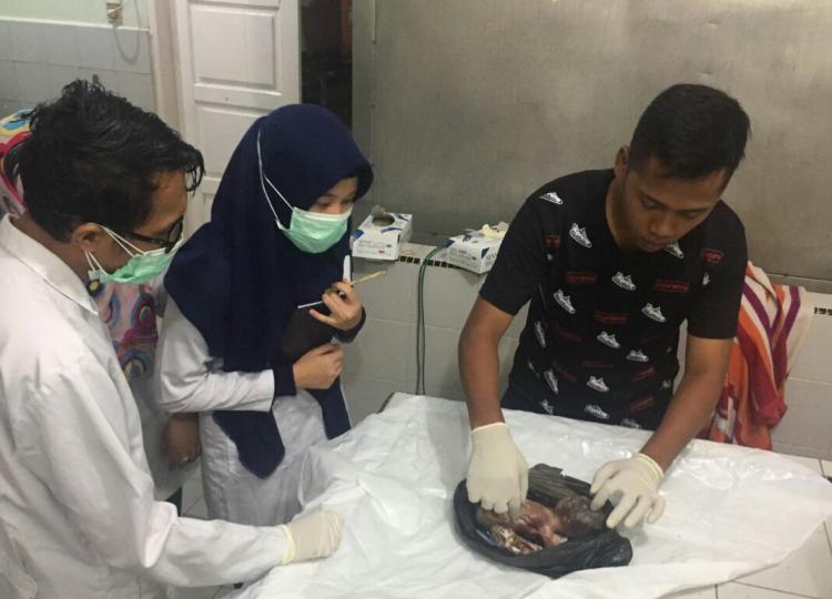 Mayat Orok Bayi Dibuang di Perumahan Anugerah Patumbak