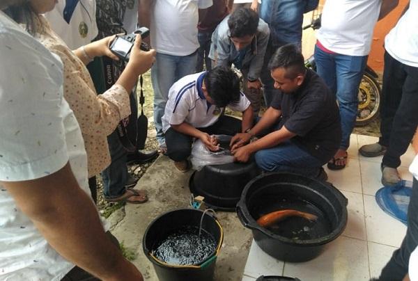 Dinas Perikanan dan Peternakan Palas Gelar Pelatihan Kesehatan Ikan dan Lingkungan