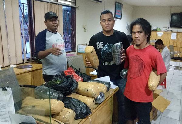 Mengaku Mahasiswa USU, Pria Ini Simpan 21 Kg Ganja di Kamar Kos