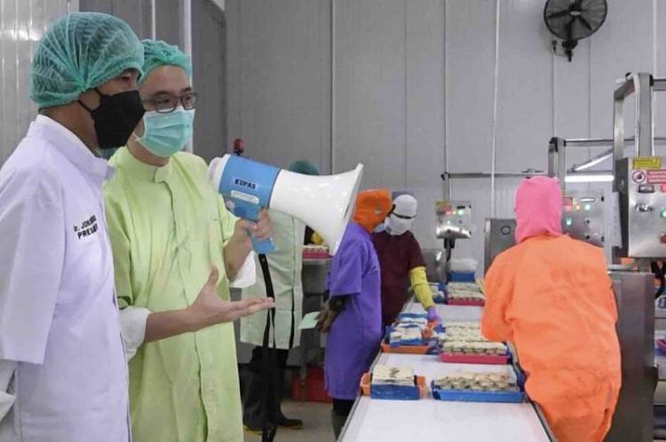 Presiden Optimis, Produk Perikanan Indonesia Masih Sangat Menjanjikan untuk Pasar Dunia