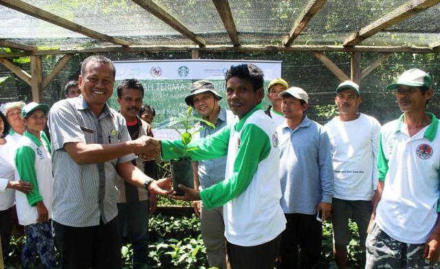 ASPEKAT Desa Hutaginjang Berhasil Produksi 7.000 Bibit Kopi Kualitas Unggul