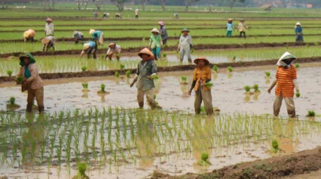 Reformasi Agraria Dimulai, Juli akan Kelihatan Hasilnya 