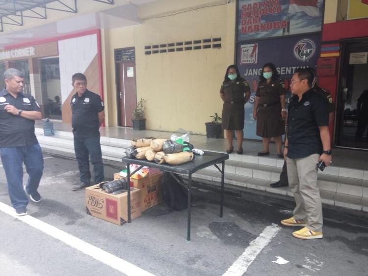 Satres Narkoba Polrestabes Medan Musnahkan Ganja Senilai Rp 50 Juta