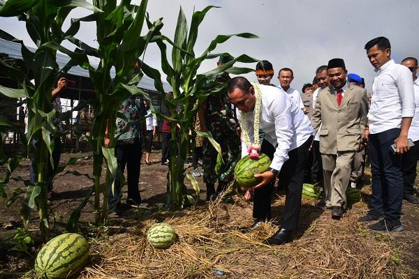 Tinjau Kebun SMKN 1 Pagaran, Gubernur Sumut: Harus Dikembangkan dan Bermanfaat Bagi Masyarakat