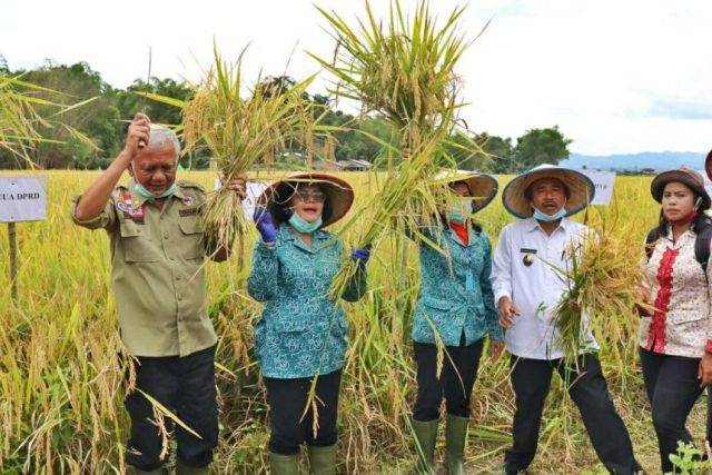 Bupati Toba Ingatkan ASN, Rakyat Butuh Jawaban Pasti, Jangan Berbelit-belit