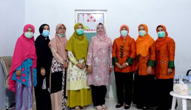 Ketua TP PKK Sumut Ajak Kaum Ibu Lahirkan Keluarga Sehat