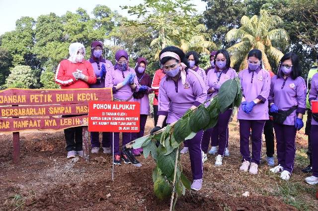 	Ketum IKKT PWA Ny Nanny Hadi Tjahjanto Tanam Pohon dan Semai Bibit Ikan untuk Ketahanan Pangan