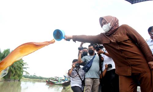 Peringati Hari Lingkungan Hidup, Nawal Lubis dan Sri Ayu Mihari Tabur Benih Ikan di Sungai Belutu