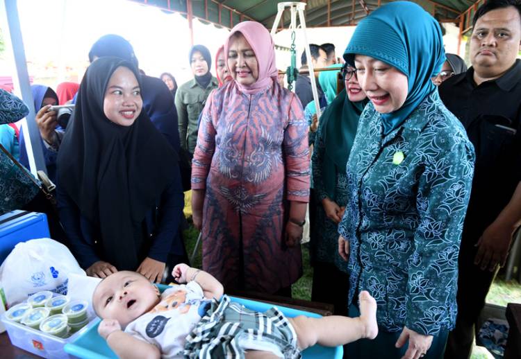 Monitoring PKK di Dua Kelurahan Tebingtinggi, Nawal Lubis Bangga Banyak Program yang Berjalan Baik