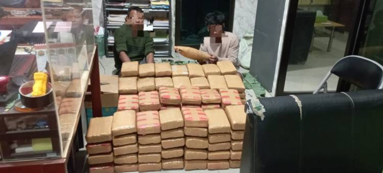 Polda Sumut Gagalkan 135 Kg Ganja, Tiga Pelaku Diamankan