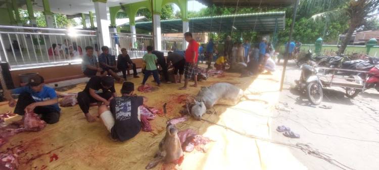 Ibu-ibu Ramaikan Pelaksanaan Qurban di Masjid Syahiratul A'mal, Sekitar 500 Bungkus Daging Dibagikan