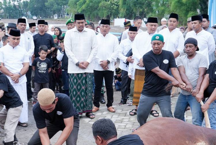 Walikota Medan dan Keluarga Berkurban Satu Ekor Sapi di Komplek Tasbi I