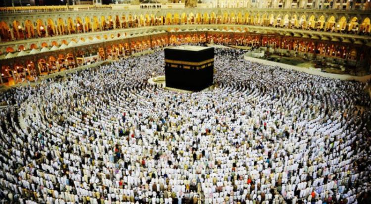 Sudah 13 Kloter Tiba Di Madinah
