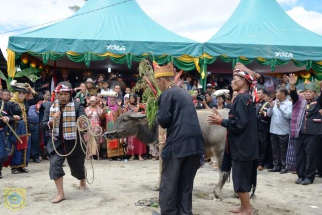 Bupati Pakpak Bharat Hadiri Acara Adat Peresmian dan Pengukuhan Sulang Silima Marga Boangmanalu 