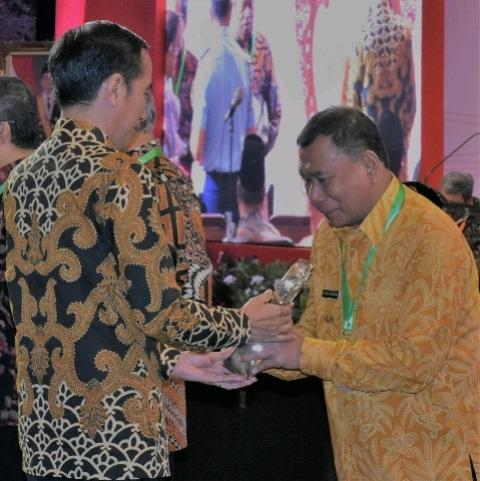 Bupati Deli Serdang Terima Penghargaan TPID dari Presiden