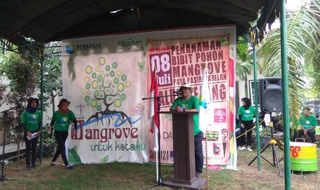 Lingkungan Kritis, Yayasan Budaya Hijau Indonesia Tanam Mangrove di Paya Pasir Marelan