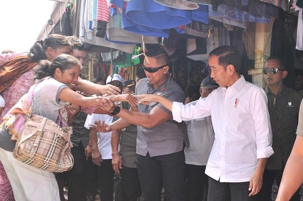 Presiden Jokowi Minta Kebakaran Hutan di Riau Segera Diselesaikan