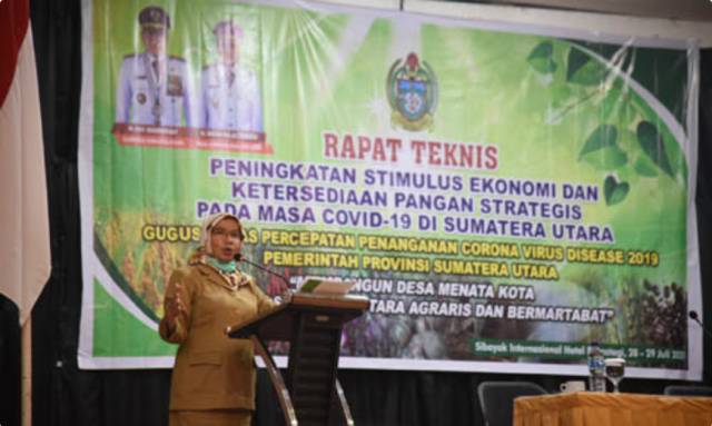 Sekdaprov Sumut Fokus Perkuat Ketahanan Pangan di seluruh Kabupaten/Kota Hadapi Covid-19