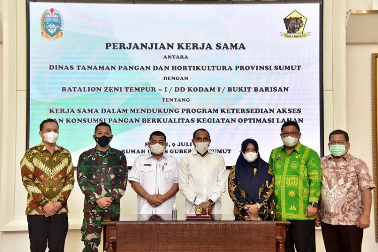 Pemprov Sumut Kerjasama Optimasi Lahan dengan Yon Zipur-1/DD, Edy Rahmayadi Berharap Semakin Banyak Lahan Produktif di Sumut