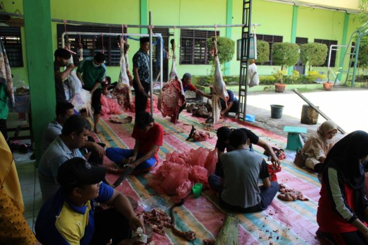 MAN Binjai Rayakan Idul Adha dengan Pemotongan Hewan Qurban