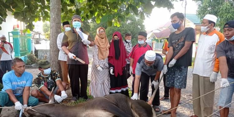 Kemenag Asahan Sembelih 10 Ekor Sapi Kurban di Hari Raya Idul Adha 1442H